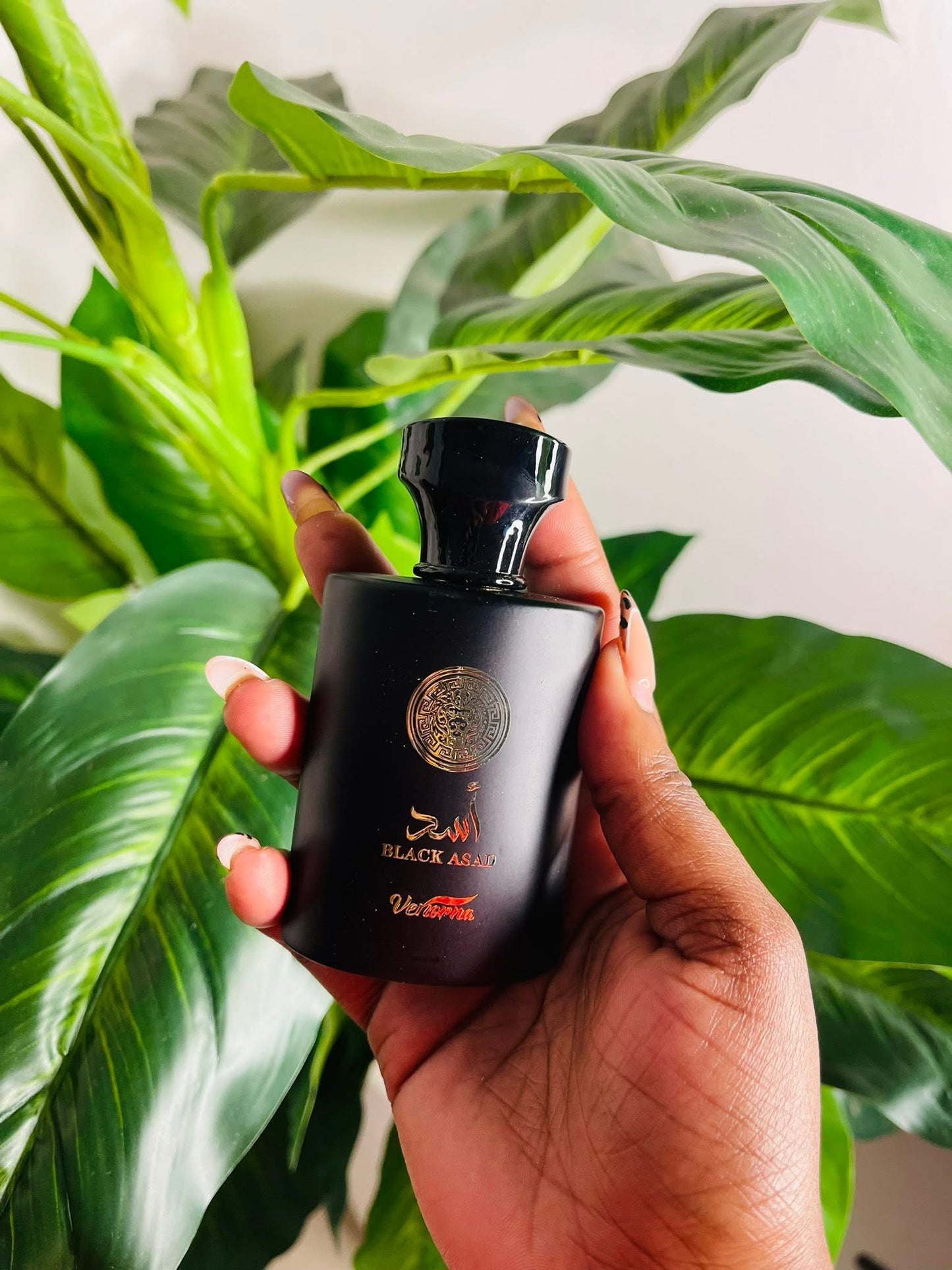 New 35ml arab perfumesx10