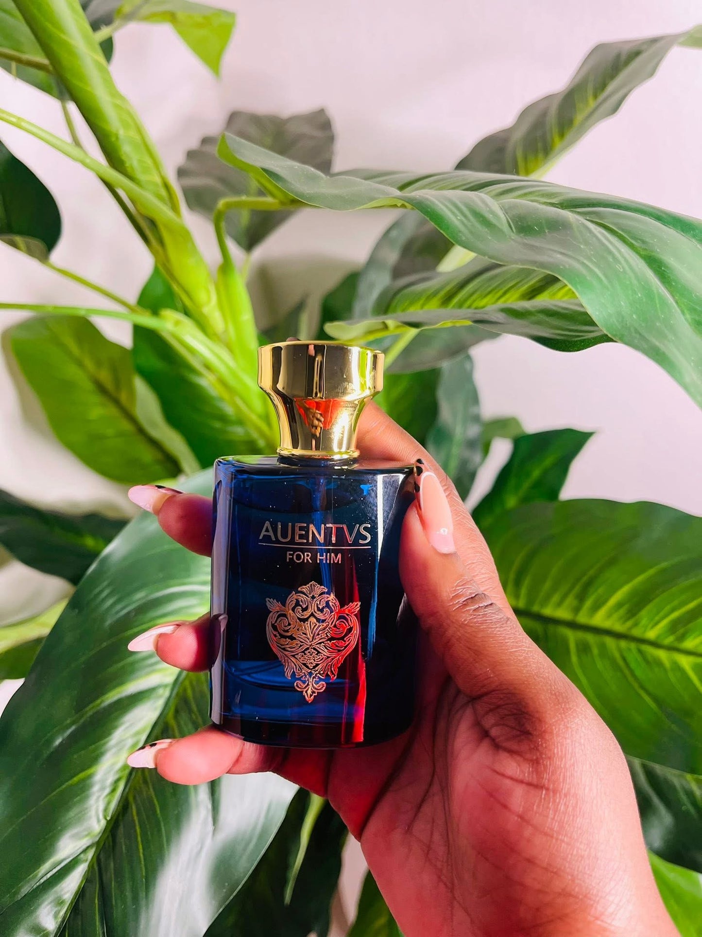 New 35ml arab perfumesx10