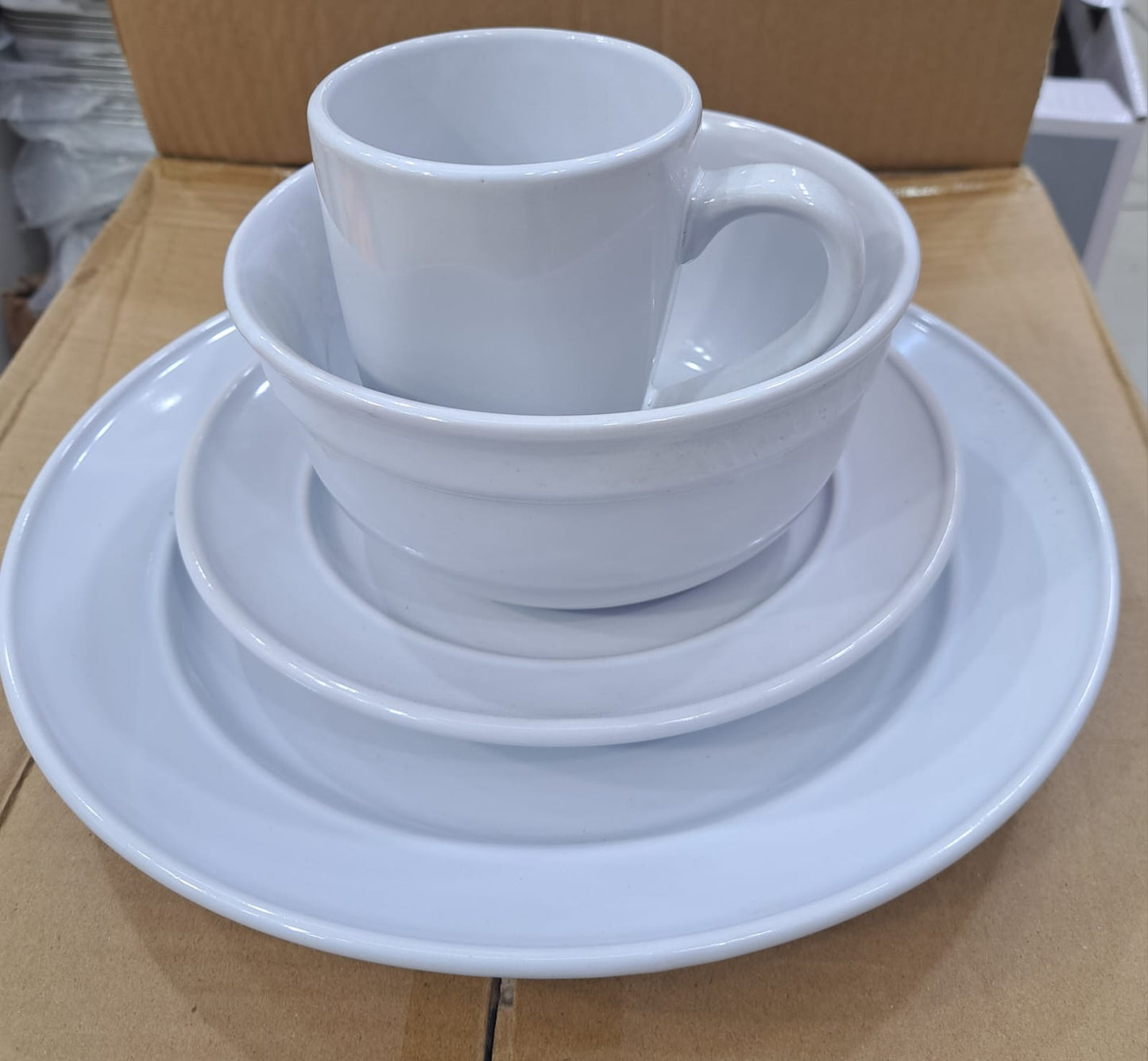16 pcs dinner set
