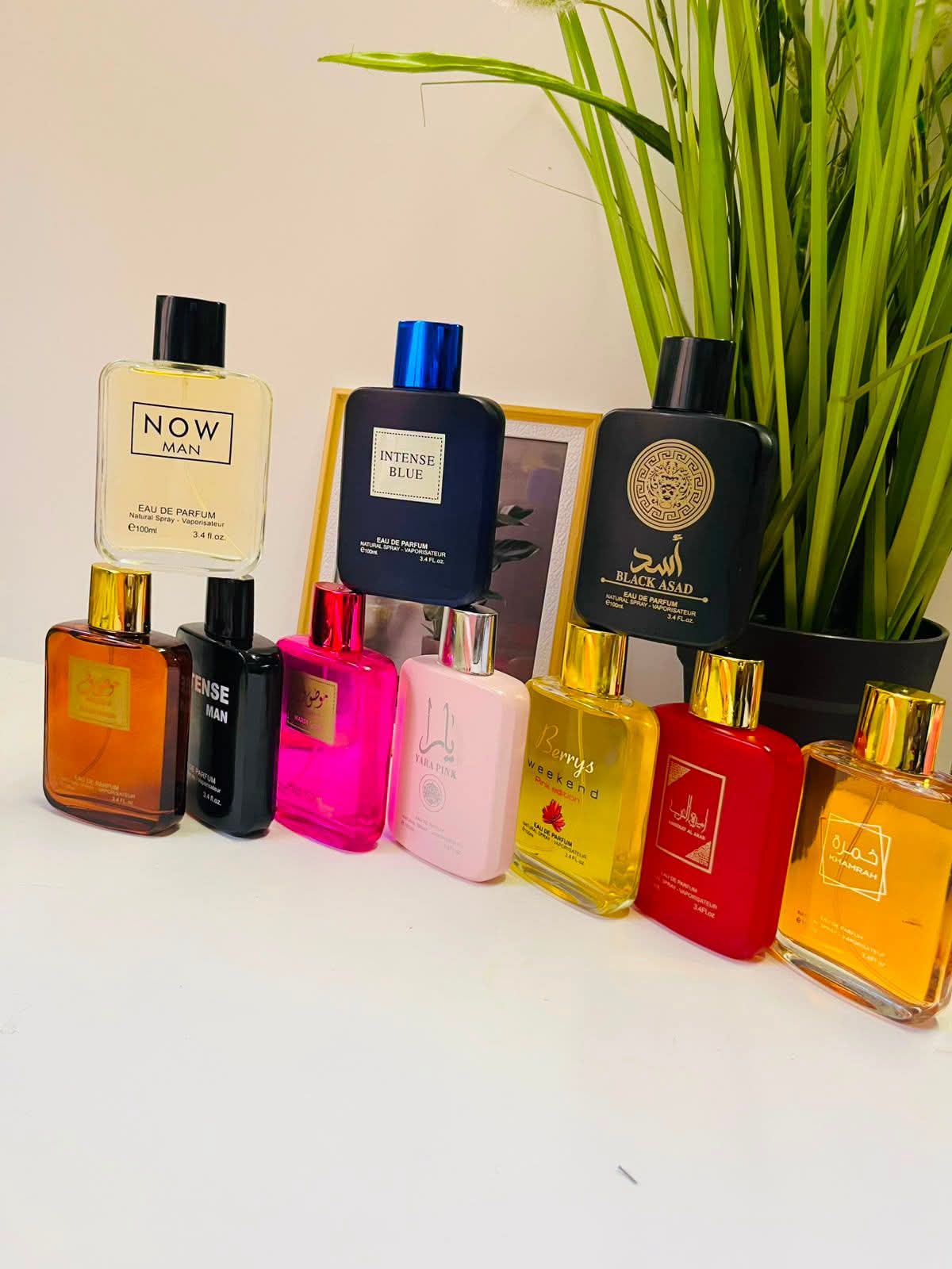 100ml perfumes x10